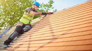 Steel Roofing in Waldo, AR