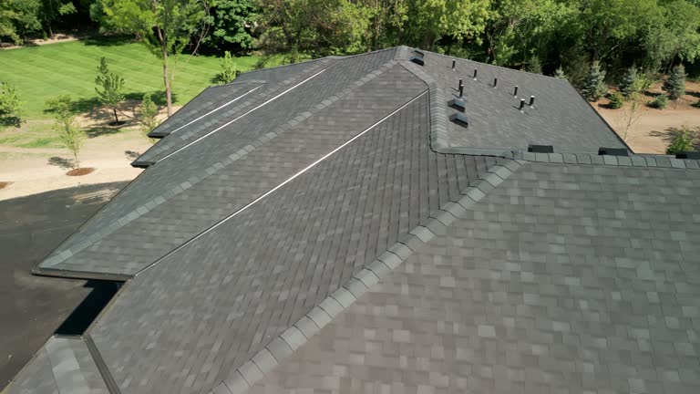 Best Roof Coating and Sealing  in Waldo, AR