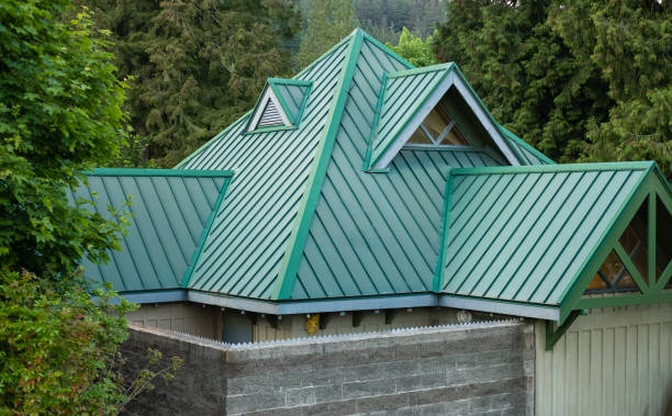 Best Storm Damage Roof Repair  in Waldo, AR