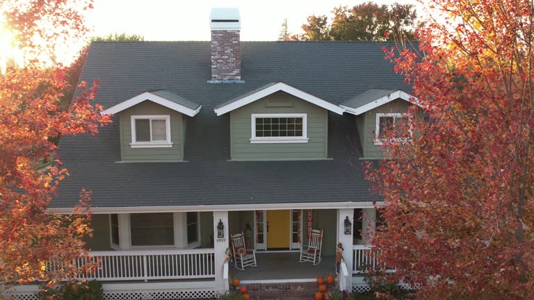 Best Chimney Flashing Repair  in Waldo, AR