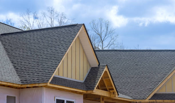 Best Hot Roofs  in Waldo, AR