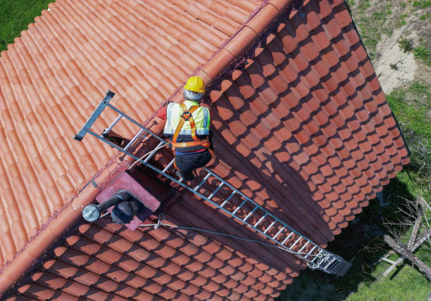 Best Siding  in Waldo, AR